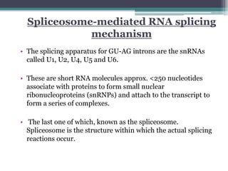 Spliceosome | PPT