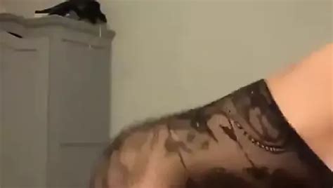 Hot Shemale Porn XHamster