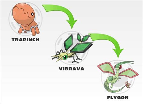 Trapinch Evolution Chart