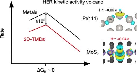 Insights Into The Hydrogen Evolution Reaction On D Transition Metal