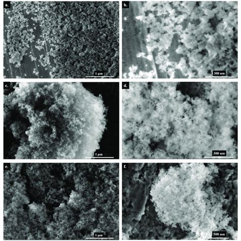 Scanning Electron Microscopy Images Of Silica Particles Non Treated