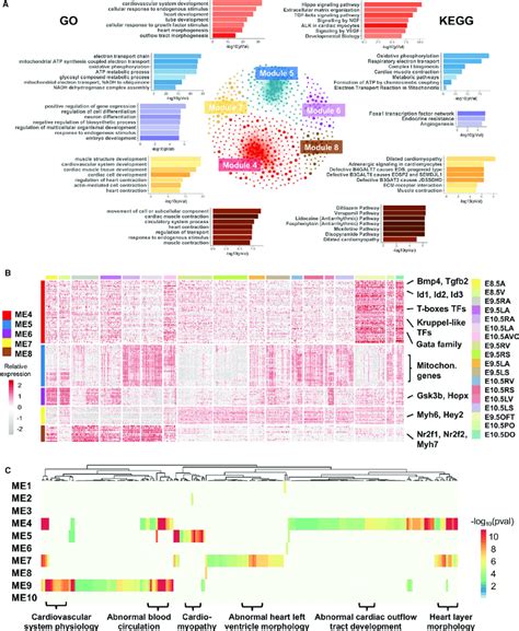 Enrichment Analysis Of Genes In Selected Modules A The Top