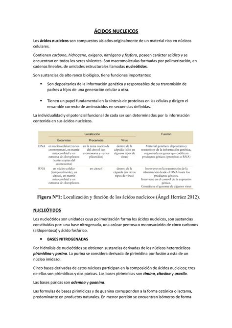 Cidos Nucleicos Quimica Biologica Biological Chemistry