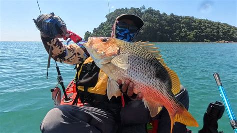 Monsters Of Pulau Satang Solo Kayak Fishing Youtube