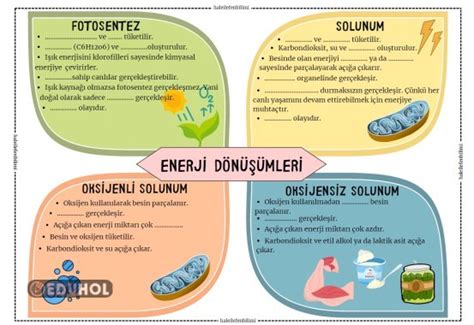 Arama Sonuçları Eduhol Etkinlik İndir Oyun Oyna Test Çöz Video İzle