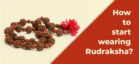 Rudraksha Benefits Rudraksh Scientific And Spiritual Facts