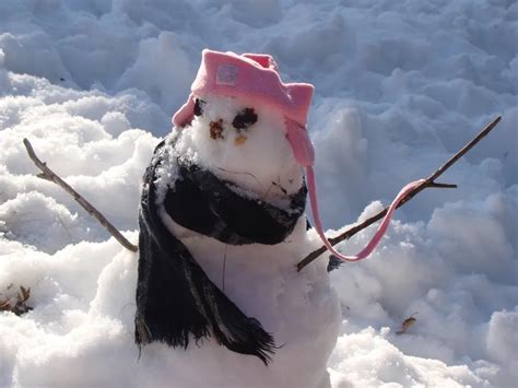 Charlie Brown Snowman | Smithsonian Photo Contest | Smithsonian Magazine