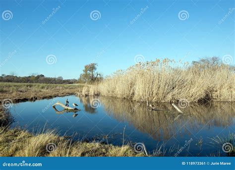 Otter Bridge Rietvlei Nature Reserve South Africa Stock Image