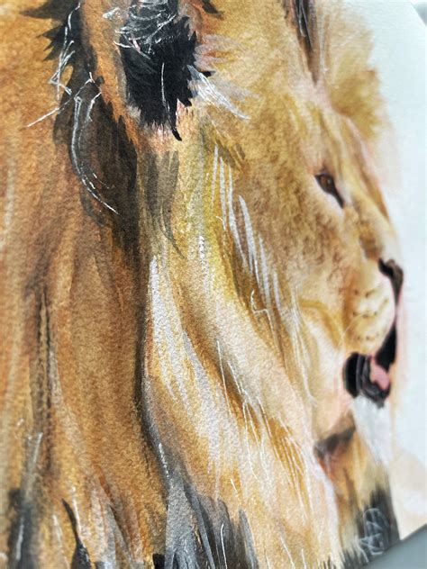 Original Lion Portrait In Gouache 10x14in Etsy