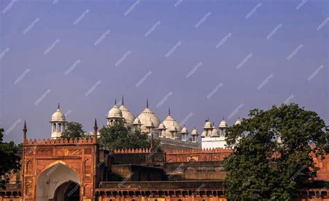 Premium Photo Moti Masjid Or Pearl Mosque In Agra Fort India