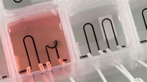 3D-printed heart-on-a-chip with integrated sensors | Harvard John A. Paulson School of ...