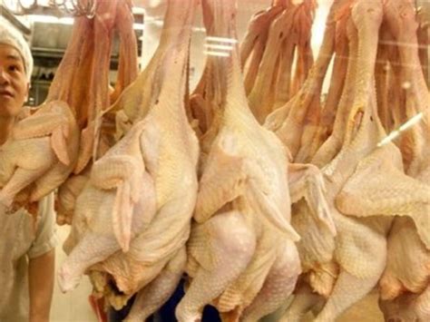 Conadecus acusa a productores de pollos de presionar investigación por