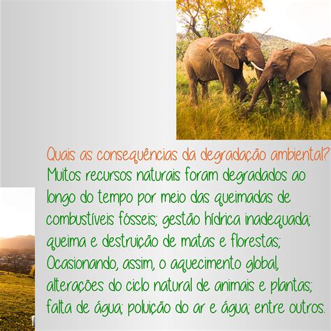 Qual A Importância Da Preservação Do Meio Ambiente