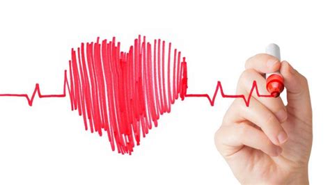 ¿qué Debes Saber De La Arritmia Cardíaca Cardiología Deportiva