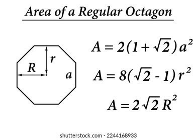 Area Regular Octagon Vector Illustration Stock Vector (Royalty Free ...