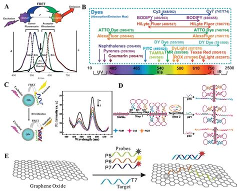 Homogeneous Nowash Assay Based On FRET A The FRET Process And