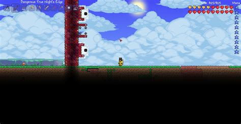 Terraria Calamity Wall Of Flesh Summon - shinyshunn