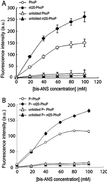 Truncation Of The N Terminal Arm Is Accompanied By A Conformational