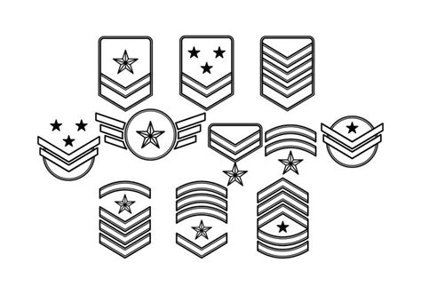 brigadier vector  vector art  vecteezy