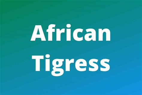 African Tigress: Net Worth, Real Name, Age and Success (2024) - Work ...