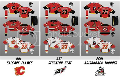 Echl Teams Echl Team Logos It Is A Tier Below The American Hockey