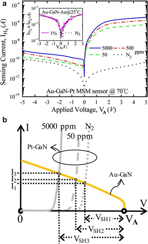 E A I H2 Of The Forward Biased Aueganept Msm Sensor With Introduction