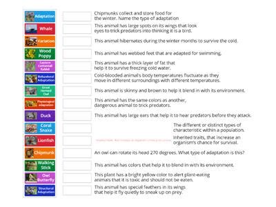 Mutations and adaptations - Teaching resources