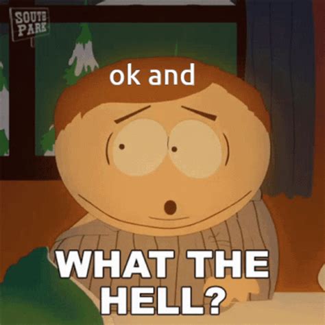 Ok And What The Hell GIF – Ok And What The Hell South Park – discover ...