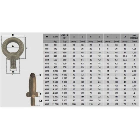 ANNEAU LEVAGE MÂLE COURT ACIER M6 M56 CMU 90 à 11500kg esse fr
