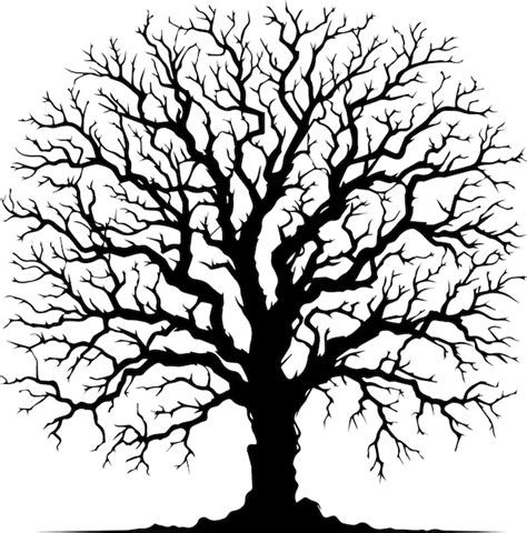 Premium Vector Naked Tree Vector Silhouette Black Color