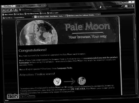 Download Pale Moon For Windows 10 Twitter