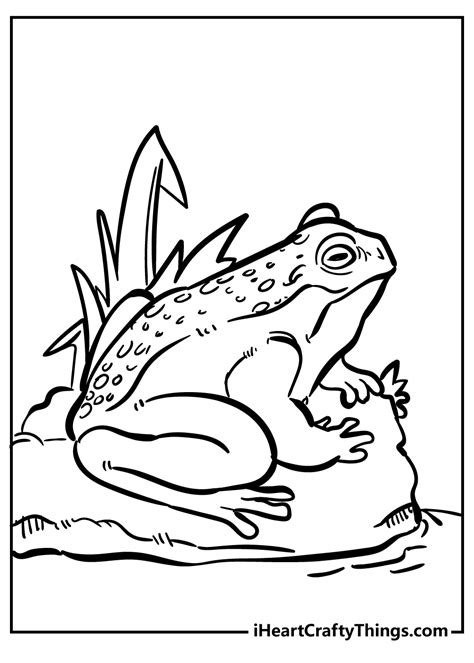 Coloring Pages Of Amphibians And Reptiles