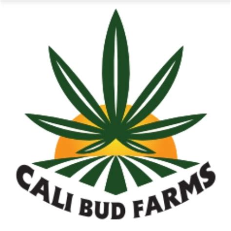 What Are Pre Rolls — Cali Bud Farms