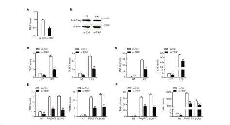 expression levels  inflammatory cytokines  trif