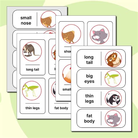 Английский язык. Карточки "Части тела" + домино, 3 класс