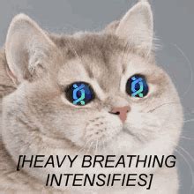 Heavy Breathing Cat Meme