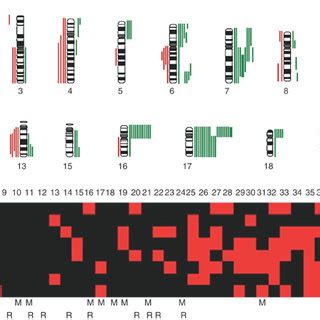 A Summary Of DNA Sequence Number Alterations Detected By CGH In At