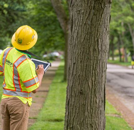 Urban Forestry Management Planning | Davey Resource Group | Davey Tree