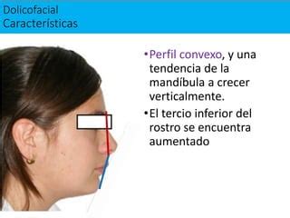 Biotipo Facial Oclusion Pdf De Odontolog A Ppt