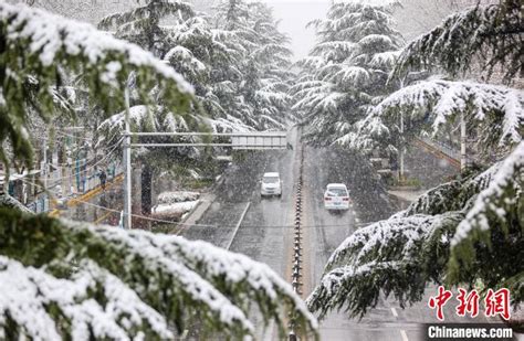 河南多地发布暴雪红色预警 降雪成因公布财经头条