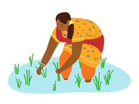 Indian woman farmer working on rice field. Hand drawn vector illustration. Authentic traditional ...