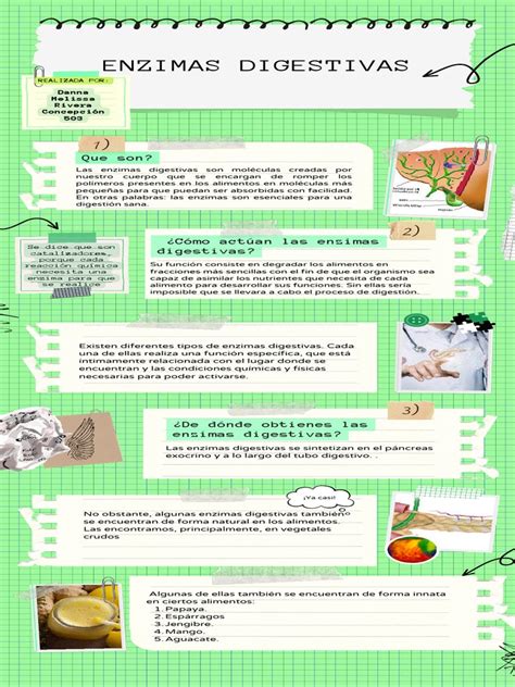 Infografía De Enzimas Digestivas Pdf