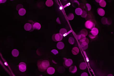 Free Images Light Night Flower Purple Petal Pattern Line Pink