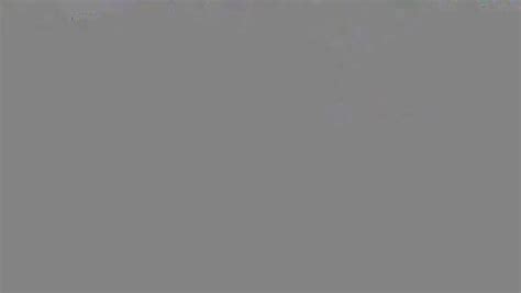 BubNPup Bear Daddy Fuck And Breed