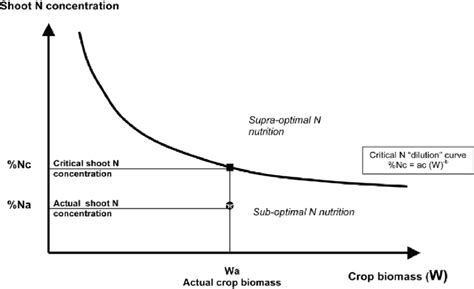 The Critical N Dilution Curve And The Calculation Of The Nitrogen