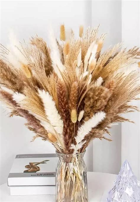 Buy Kings Collection Pcs Natural Dried Pampas Grass Fluffy Pompous