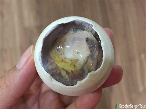 Balut In Vietnam Fertilized Duck Egg Or Hot Vit Lon Scooter Saigon