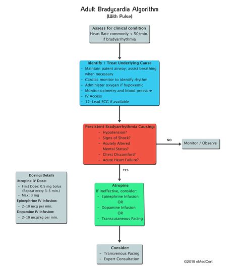 Acls Algorithms You Need To Know