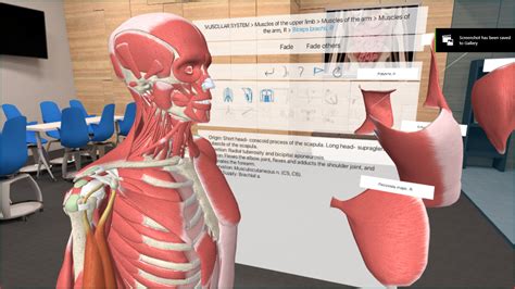 3D Organon VR Anatomy on Steam