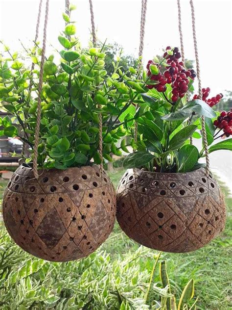 Outstanding Coconut Shell Plant Hanger Living Wall Planter Diy